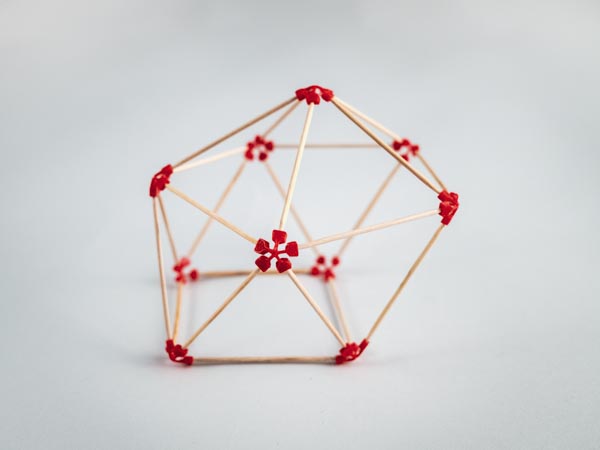 model of a sphenocorona made using sparx connectors and toothpicks